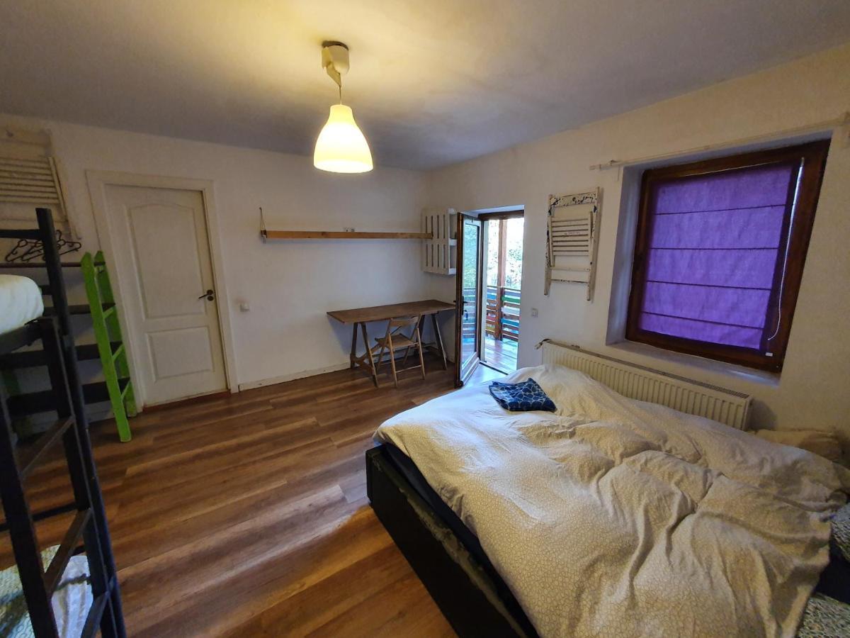 Zen Hostel Cluj-Napoca Ngoại thất bức ảnh